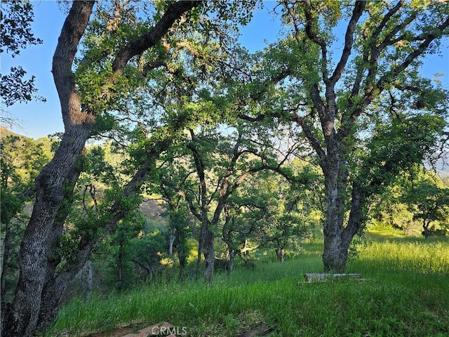 view of nature