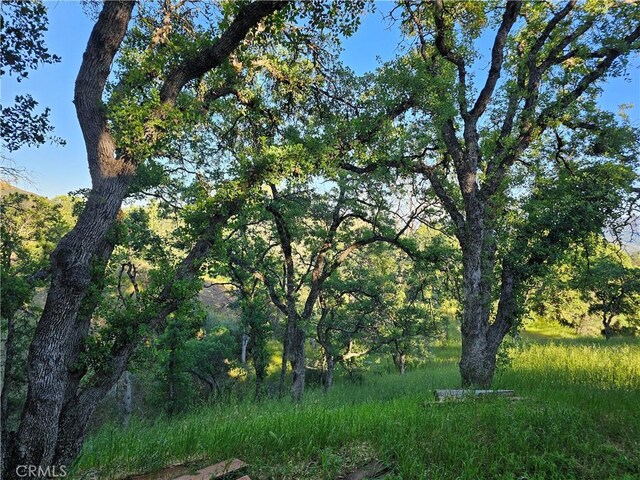 728 Watertrough Rd, Clearlake Oaks, CA 95423 - photo 39