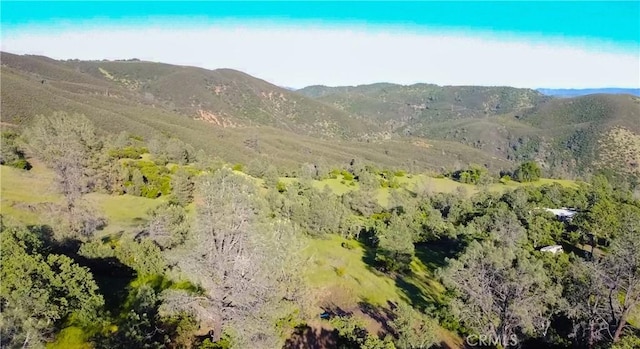 728 Watertrough Rd, Clearlake Oaks, CA 95423 - photo 25