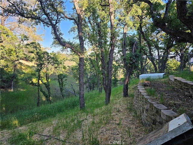 728 Watertrough Rd, Clearlake Oaks, CA 95423 - photo 21