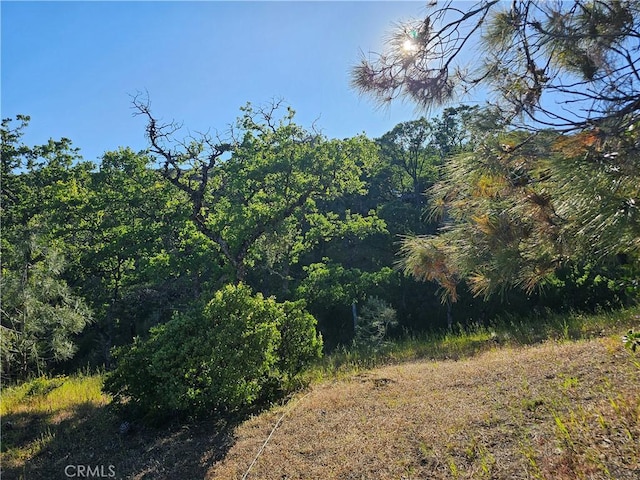 view of landscape