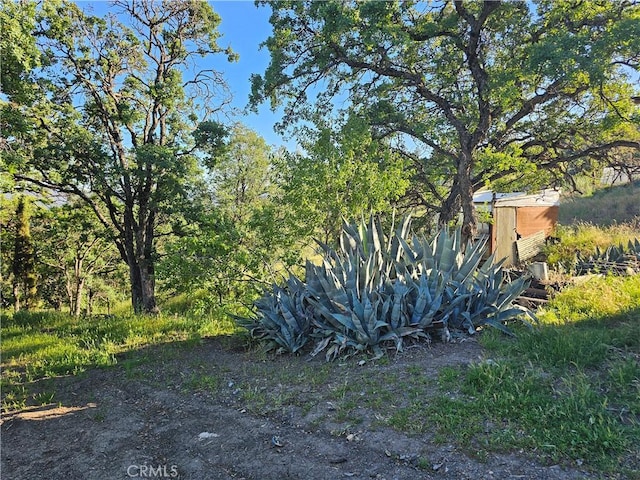 728 Watertrough Rd, Clearlake Oaks, CA 95423 - photo 38