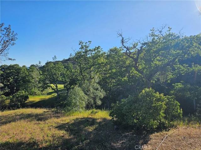 view of nature