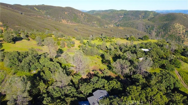 728 Watertrough Rd, Clearlake Oaks, CA 95423 - photo 29