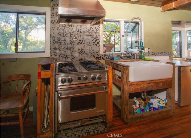 kitchen featuring sink, designer range, decorative backsplash, extractor fan, and dark hardwood / wood-style flooring