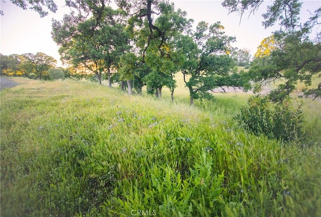 view of nature featuring a rural view