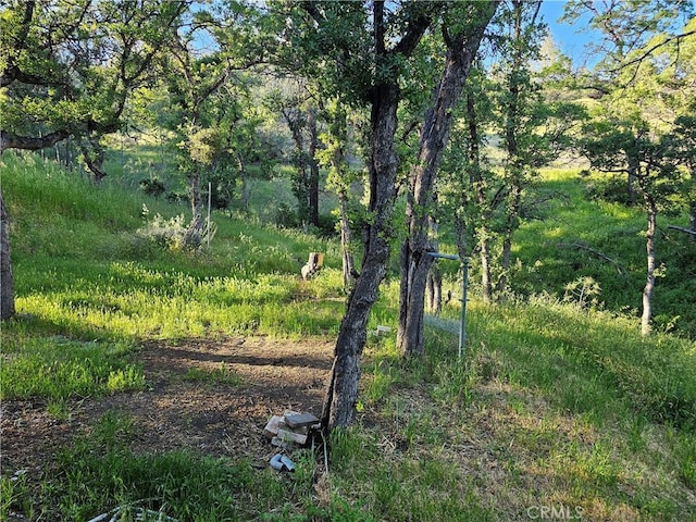 view of landscape