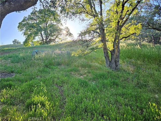 view of nature