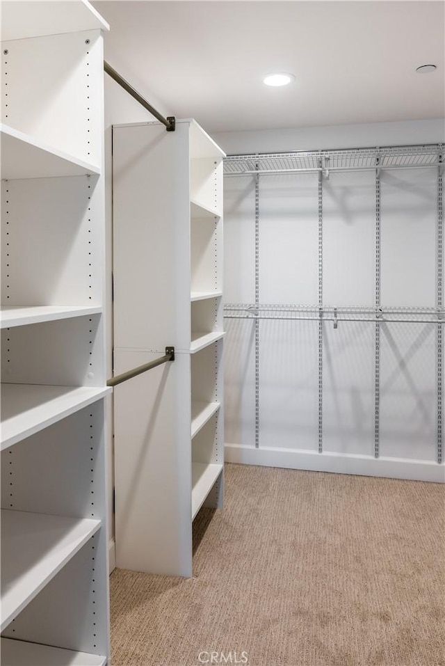 spacious closet with light colored carpet