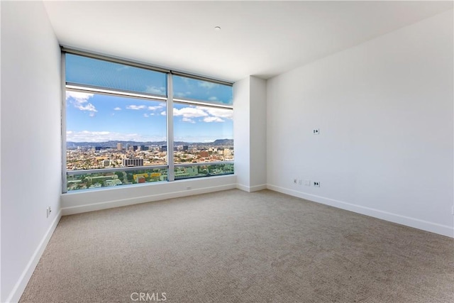 empty room featuring carpet floors