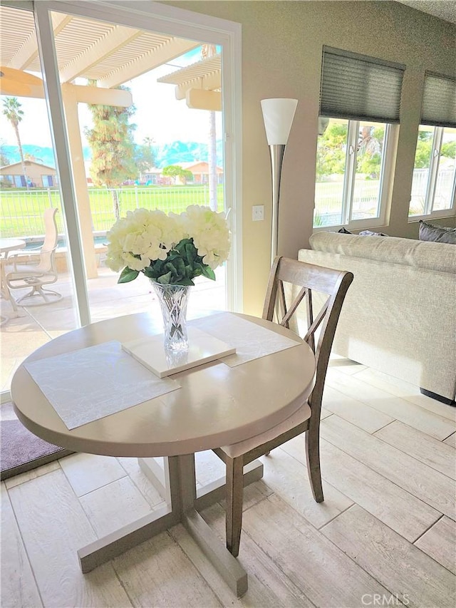 dining area with hardwood / wood-style flooring