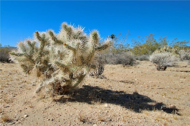 Listing photo 2 for 0 Avenida La Espana Daga, Joshua Tree CA 92252