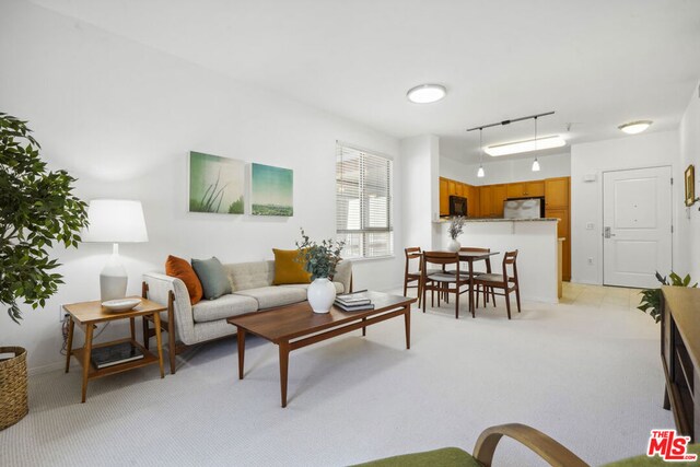 living room with light carpet