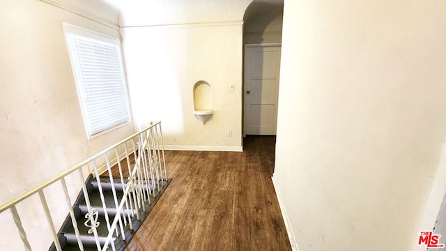 hallway featuring dark hardwood / wood-style flooring