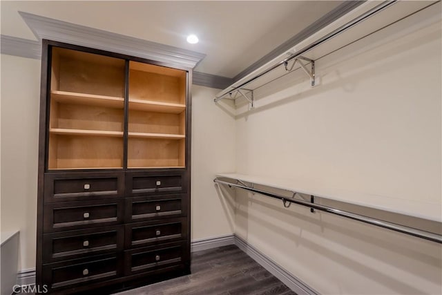 spacious closet featuring dark wood-type flooring