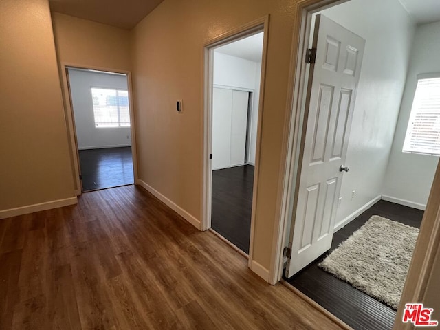 hall with a wealth of natural light and dark hardwood / wood-style flooring