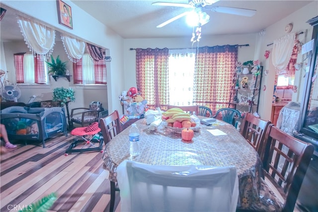 dining space with ceiling fan