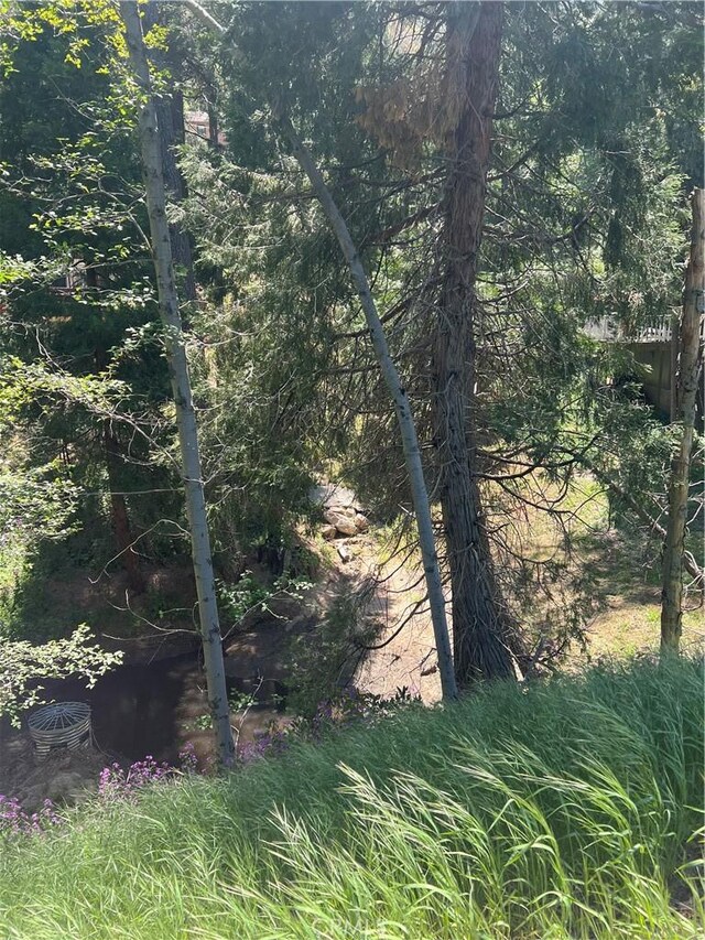 24580 Bernard Dr, Crestline, CA 92325 - photo 6