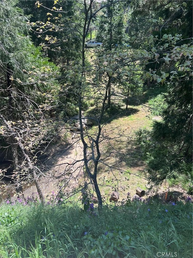 24580 Bernard Dr, Crestline, CA 92325 - photo 5