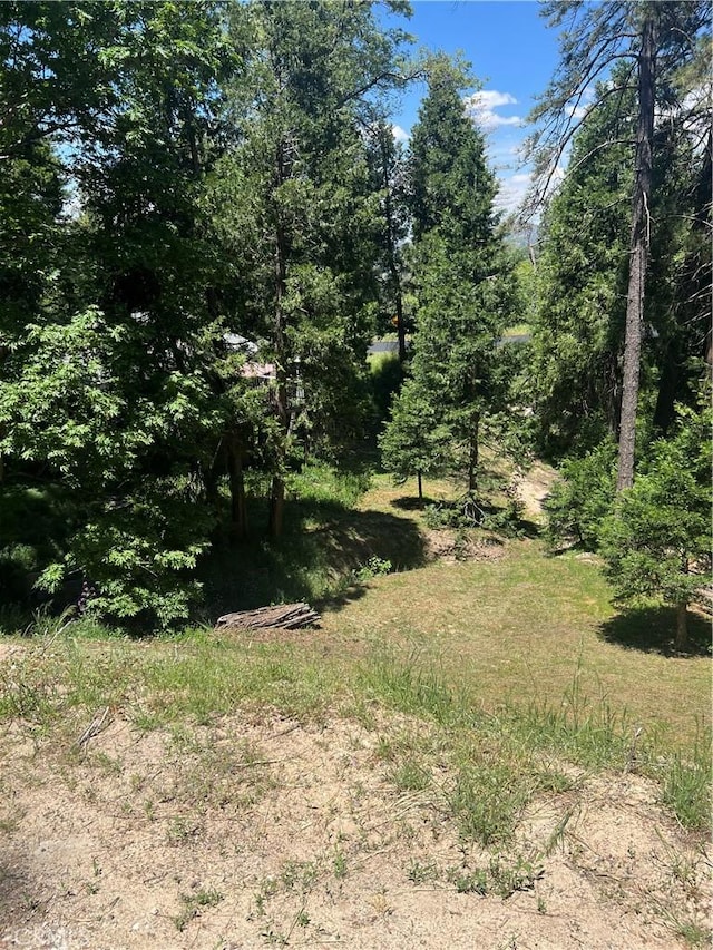 Listing photo 2 for 24580 Bernard Dr, Crestline CA 92325