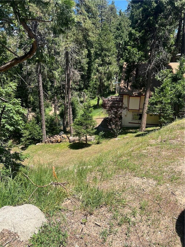 24580 Bernard Dr, Crestline, CA 92325 - photo 3