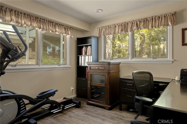 office space with wood-type flooring