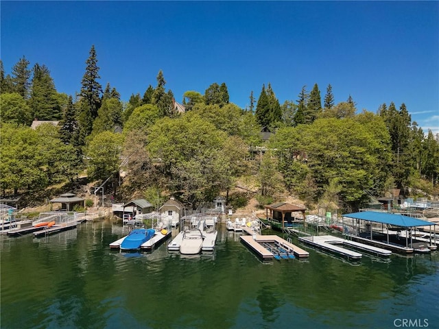 dock area featuring a water view