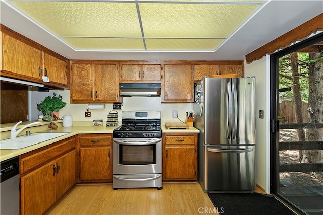 kitchen featuring stainless steel appliances, light hardwood / wood-style flooring, and sink