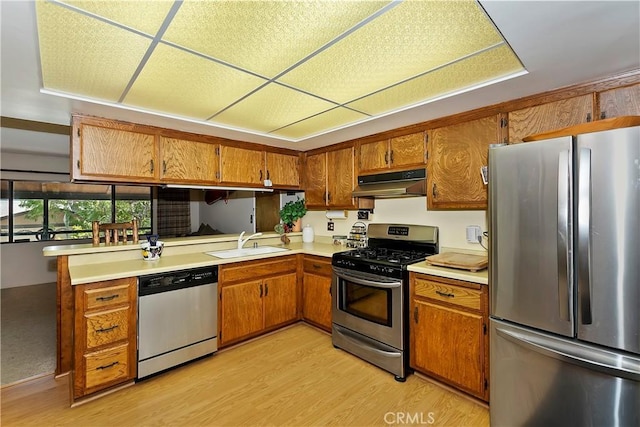 kitchen with sink, stainless steel appliances, and light hardwood / wood-style floors