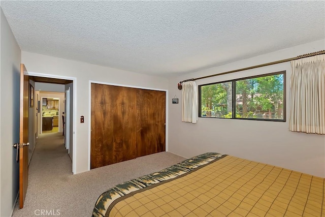 bedroom with carpet flooring, a textured ceiling, and a closet