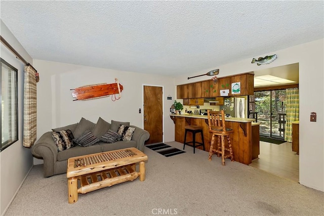 carpeted living room with a textured ceiling