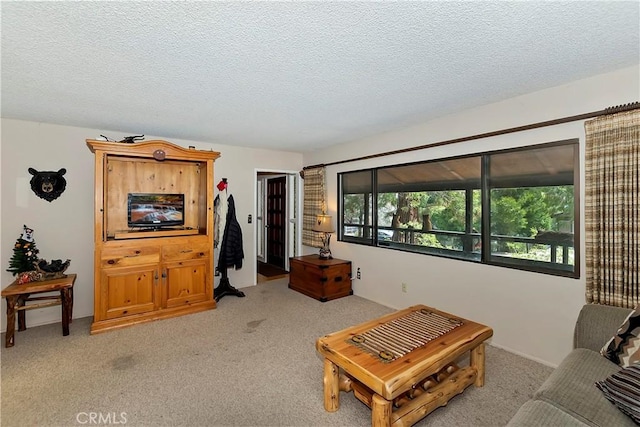 living room featuring light carpet and a textured ceiling