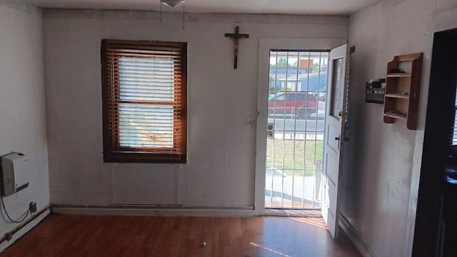 doorway featuring hardwood / wood-style flooring, plenty of natural light, and a baseboard heating unit