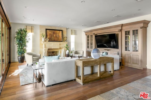 living room with wood-type flooring and plenty of natural light