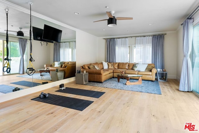 living room with a wealth of natural light, ceiling fan, and light wood-type flooring