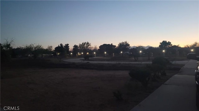 view of yard at dusk