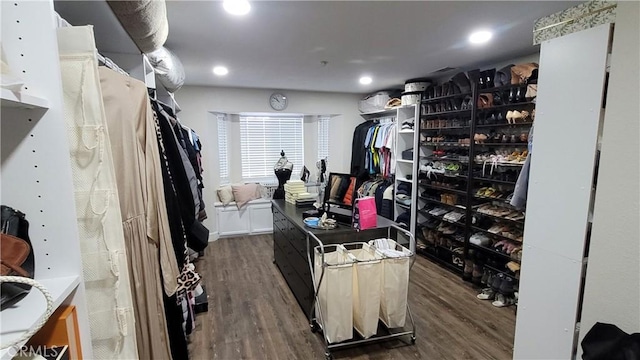 walk in closet featuring dark hardwood / wood-style flooring