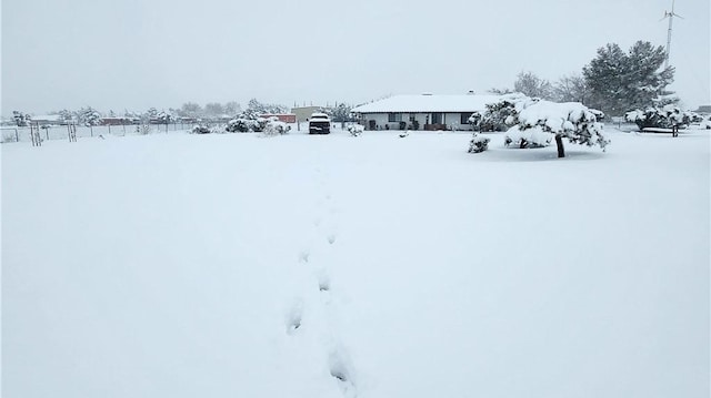 view of yard covered in snow