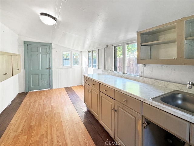 kitchen featuring light brown cabinetry, dark hardwood / wood-style flooring, lofted ceiling, and a wealth of natural light