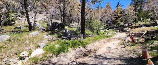 Listing photo 3 for 0 Deer Ln, Arrowbear CA 92382