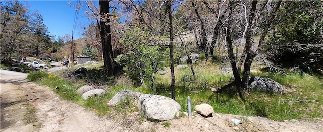 Listing photo 2 for 0 Deer Ln, Arrowbear CA 92382