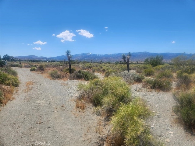 0 Minero Rd, Pinon Hills CA, 92372 land for sale