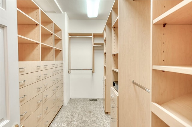 walk in closet with light colored carpet