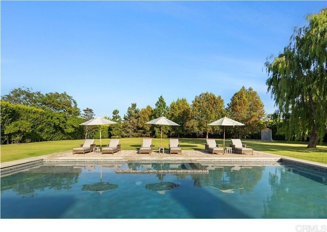 view of pool with a yard