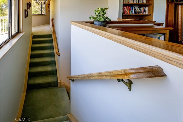 stairs with carpet floors