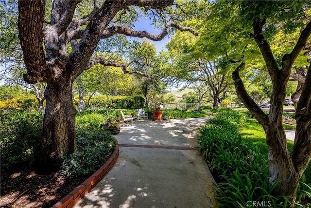 surrounding community featuring a patio