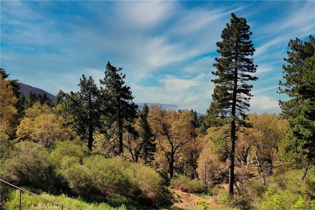 view of local wilderness