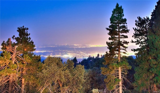 view of nature at dusk