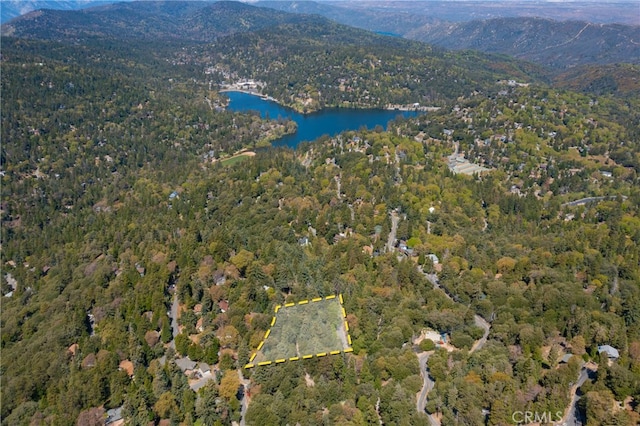 Listing photo 3 for 0 Chillon Dr, Crestline CA 92325