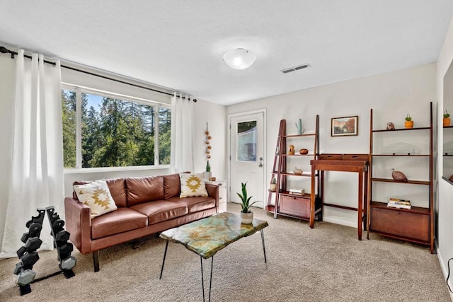 living room featuring light carpet